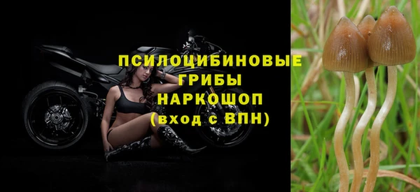 эйфоретик Балабаново