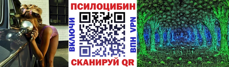 наркотики  Новомичуринск  Галлюциногенные грибы Magic Shrooms 